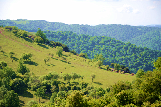 首页-MG视讯厅真人官方网站