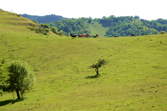 首页-MG视讯厅真人官方网站