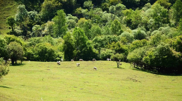 首页-MG视讯厅真人官方网站