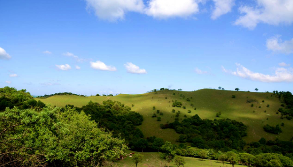 首页-MG视讯厅真人官方网站