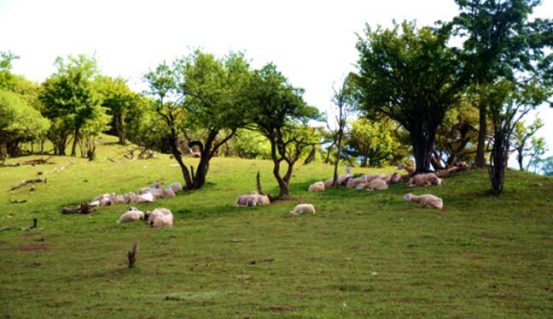 首页-MG视讯厅真人官方网站