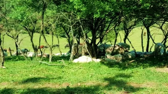 首页-MG视讯厅真人官方网站