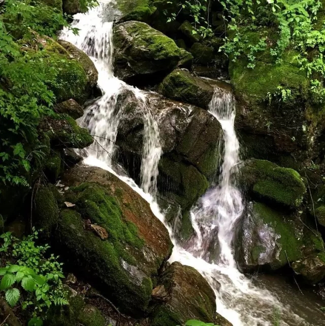 首页-MG视讯厅真人官方网站