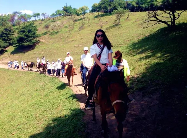 首页-MG视讯厅真人官方网站