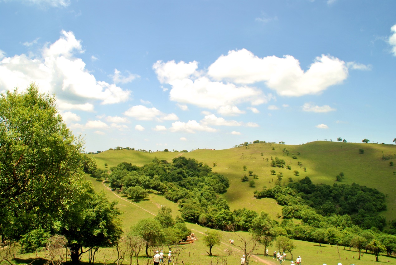 首页-MG视讯厅真人官方网站