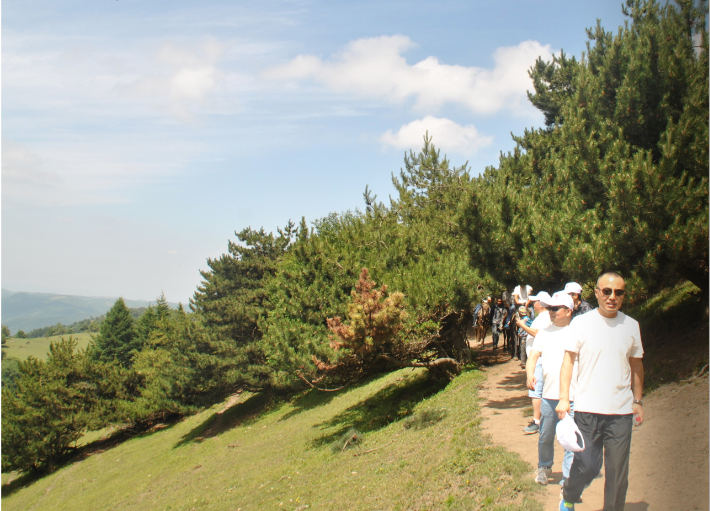首页-MG视讯厅真人官方网站