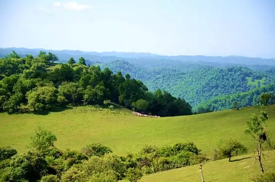 首页-MG视讯厅真人官方网站