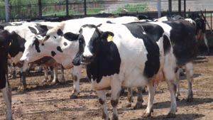 ��ҳ-MG��Ѷ�����˹ٷ���վ