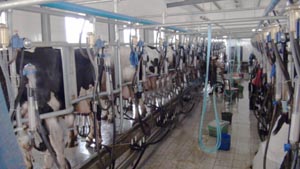 ��ҳ-MG��Ѷ�����˹ٷ���վ