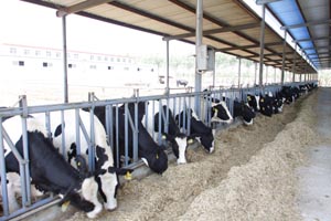 ��ҳ-MG��Ѷ�����˹ٷ���վ