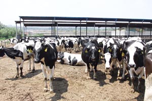 ��ҳ-MG��Ѷ�����˹ٷ���վ